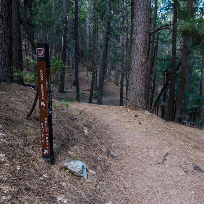 Near Root Creek Falls