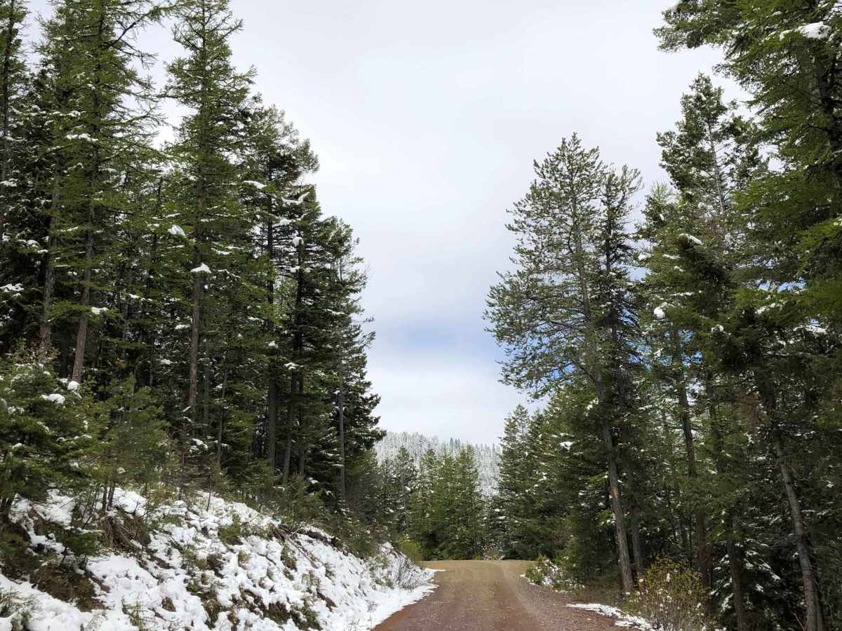 Blue Mountain trail photo