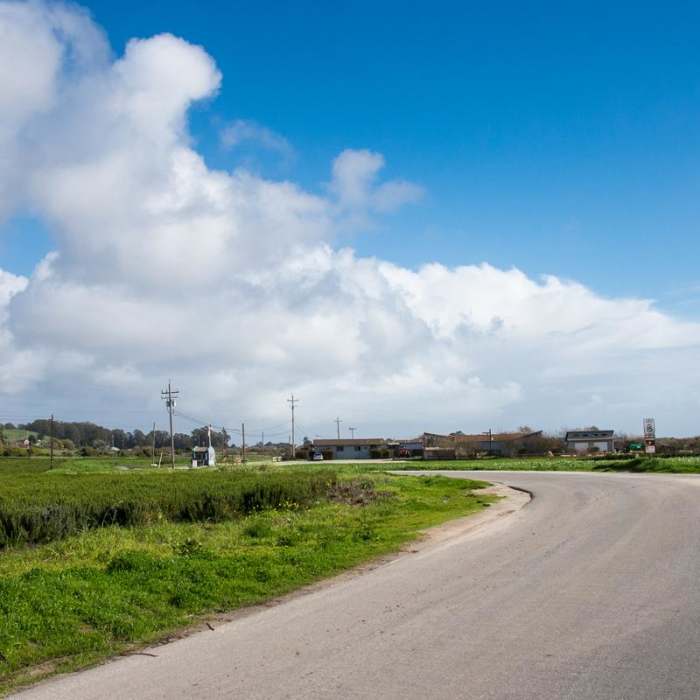 Near Ohlone Bluff Hike Near Ohlone Bluff Hike