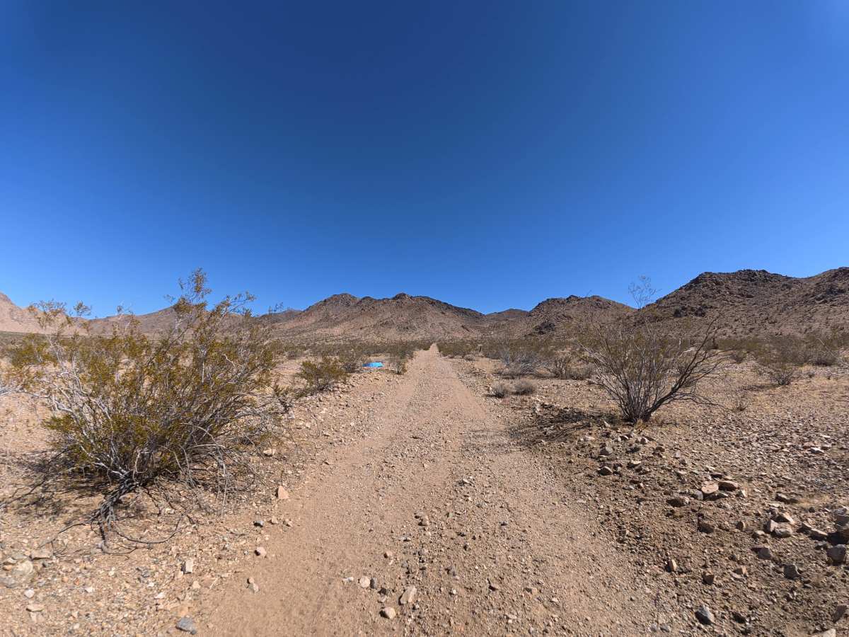 BLM 0M6602 photo 6