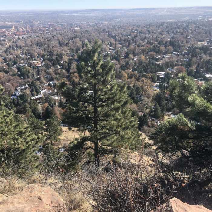 Near Viewpoint Trail