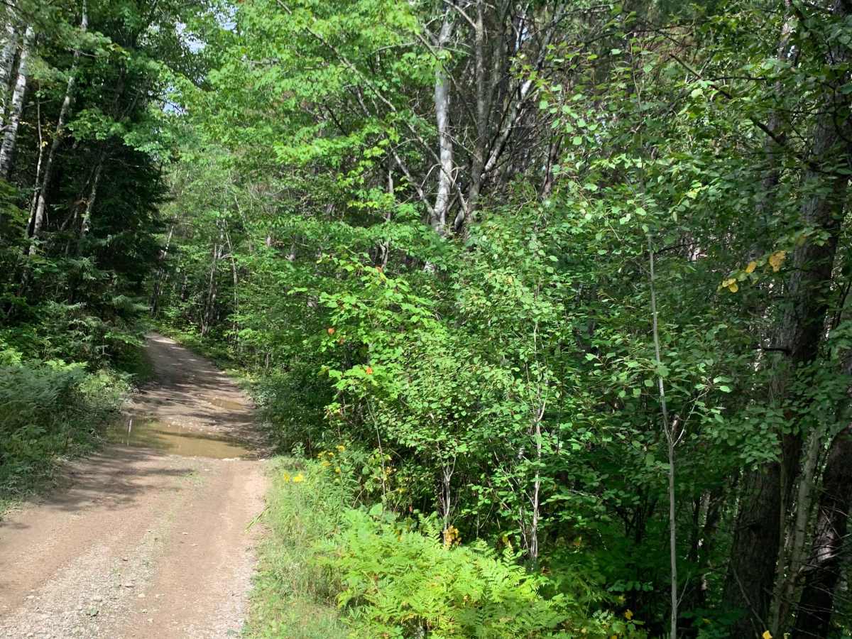 Godlevske Trail photo 6