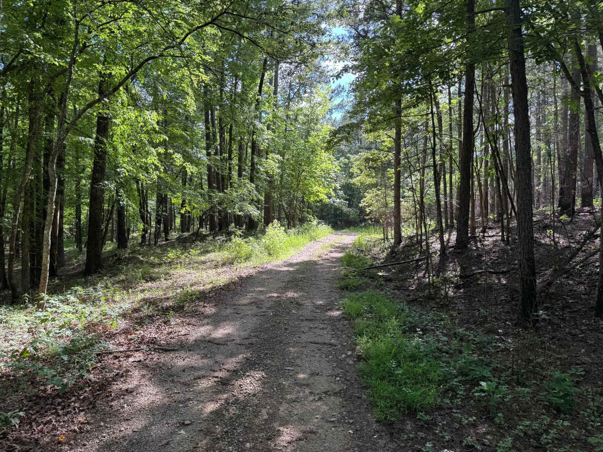 Bear Den Mountain trail photo
