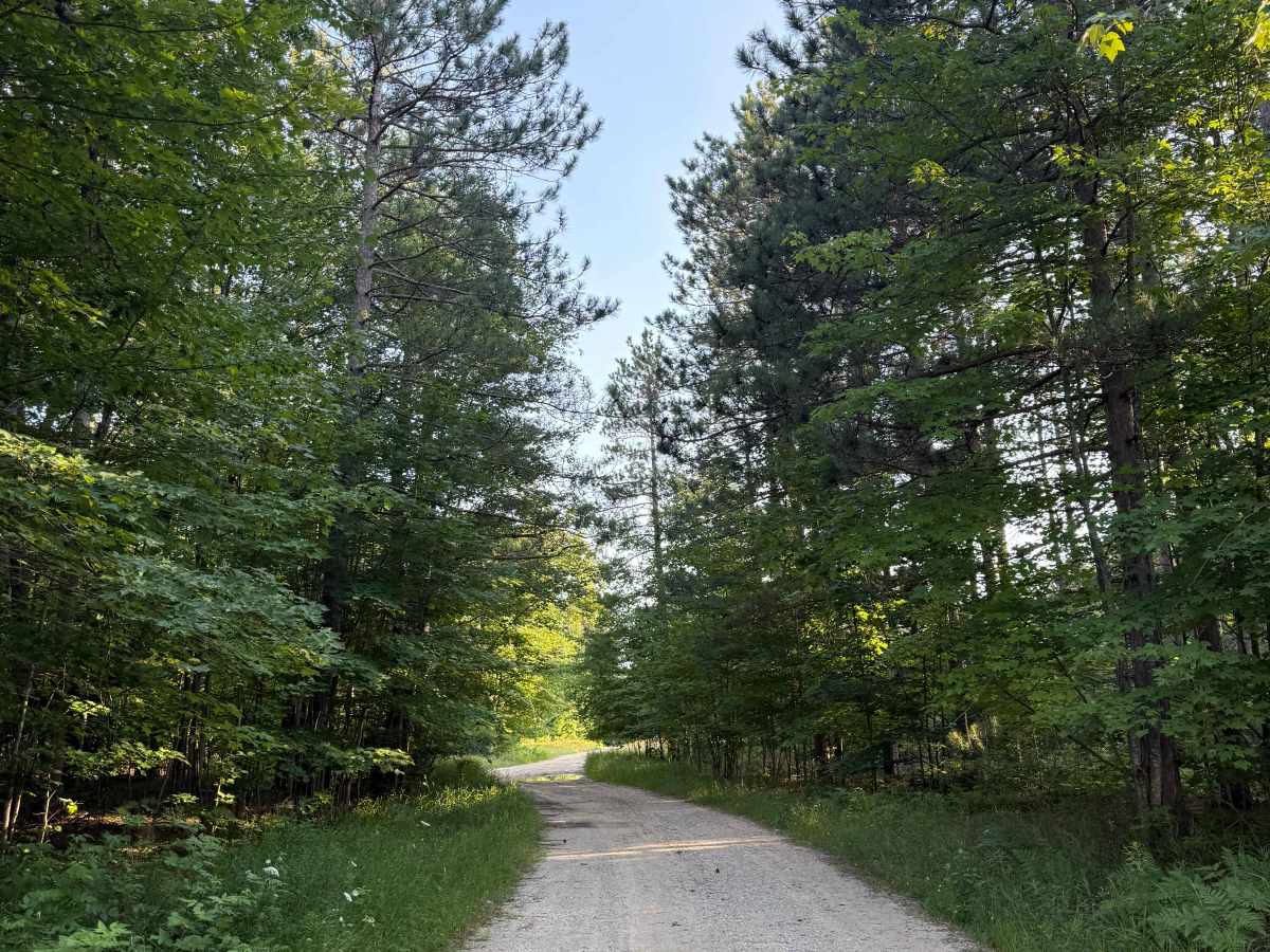 Plagany-Cedar Trail photo 3