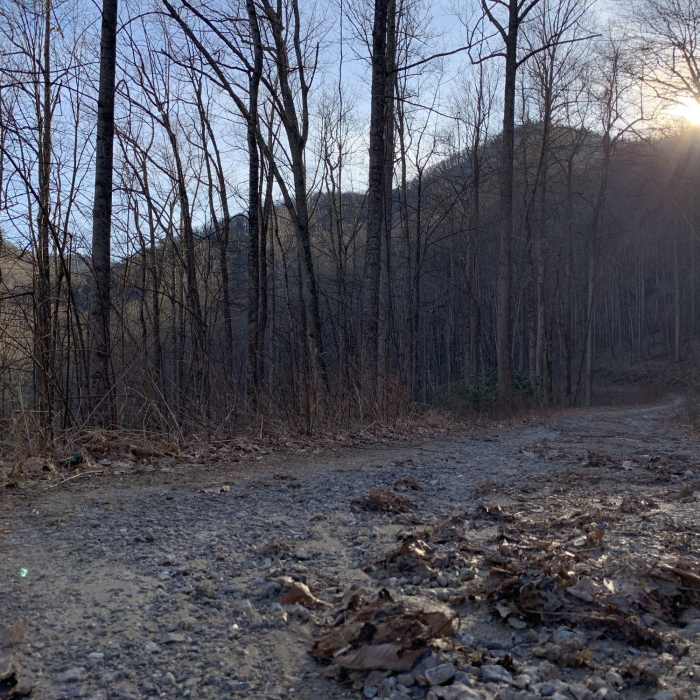 Middle Prong Wilderness near the Blue Ridge Parkway Near Lickstone Gap Road
