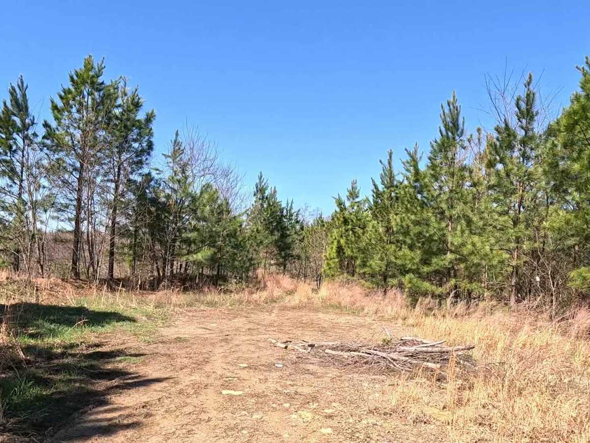 W4 trail photo