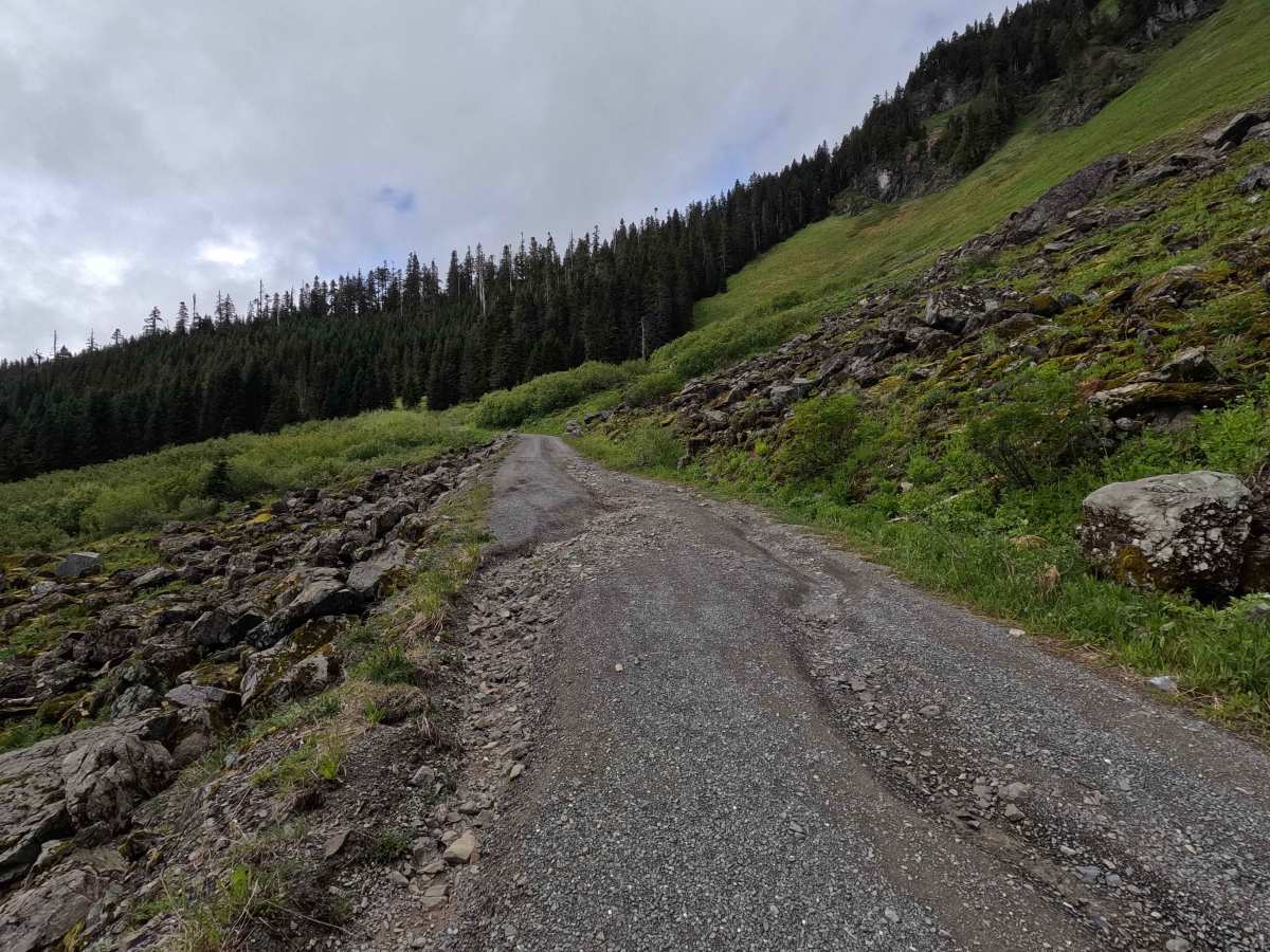 Sauk Mountain Road - FS 1036 photo 6