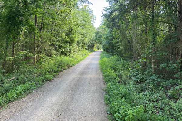 North Gaston Mountain Road