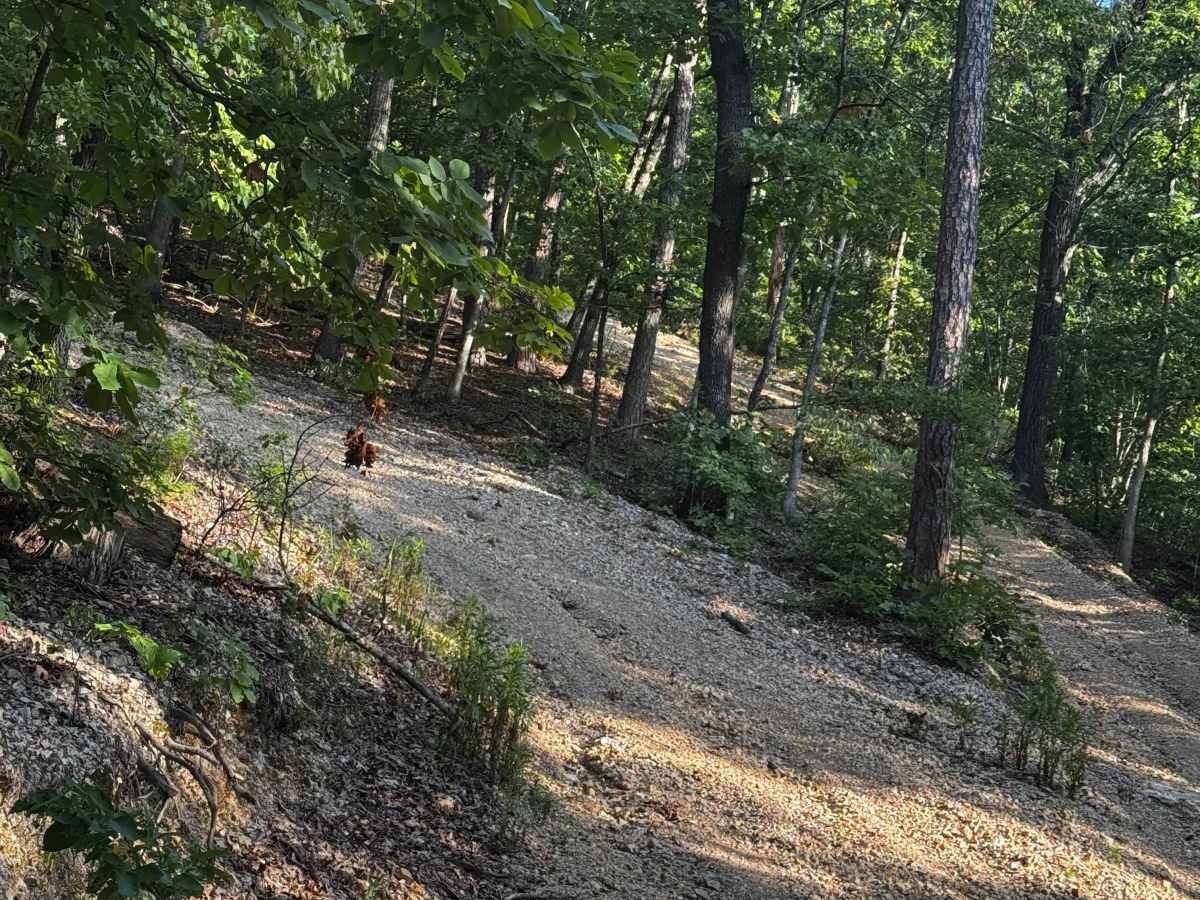 Short Track Hill Climb photo 5