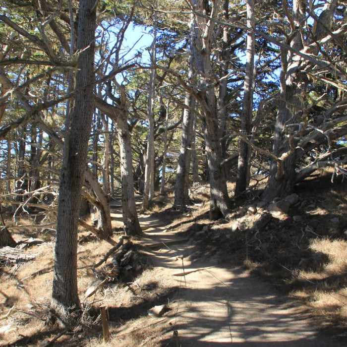 Near Cypress Grove Trail Near Cypress Grove Trail