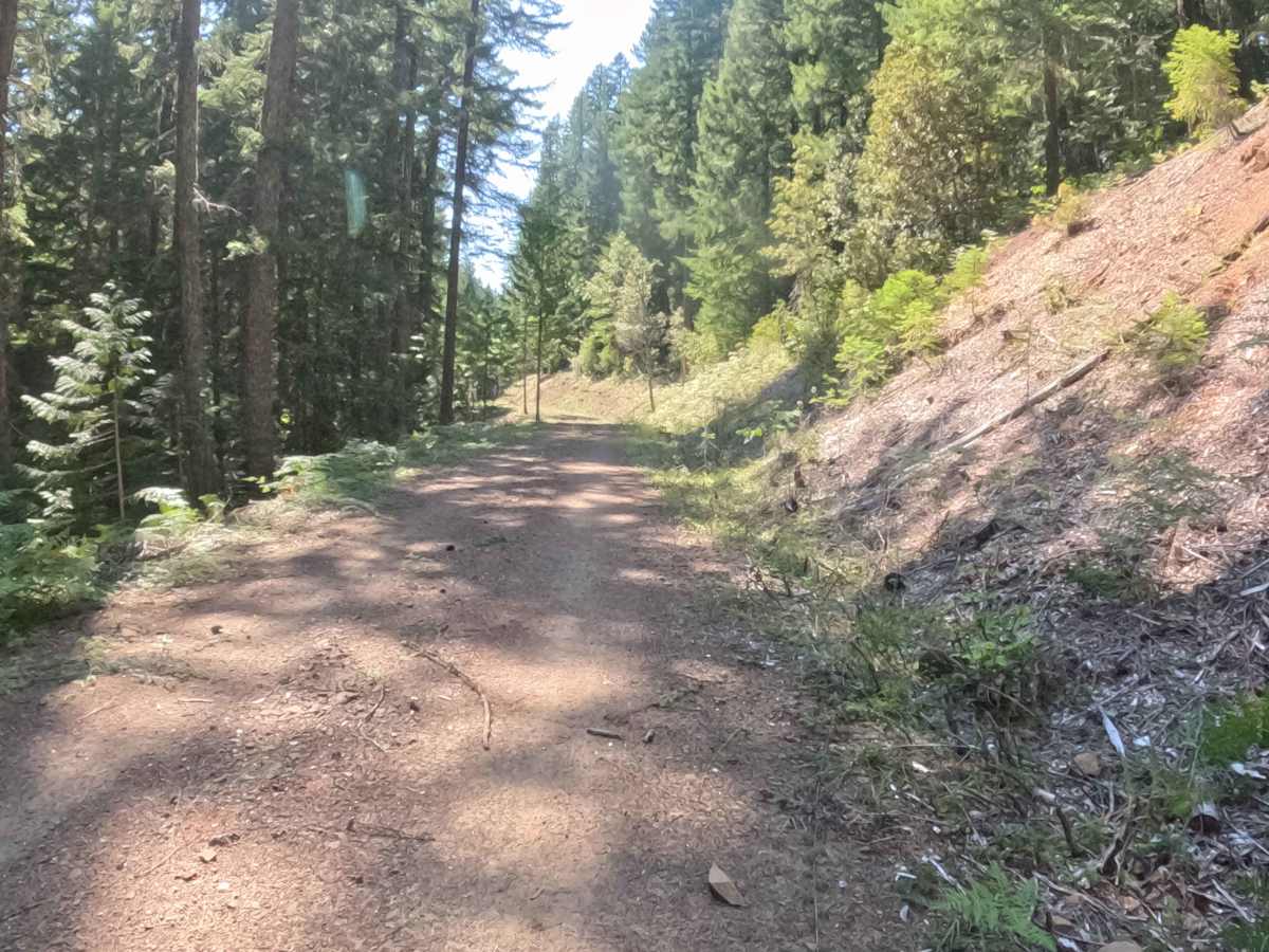 Deer Toe Road - FS 2047770 photo 2