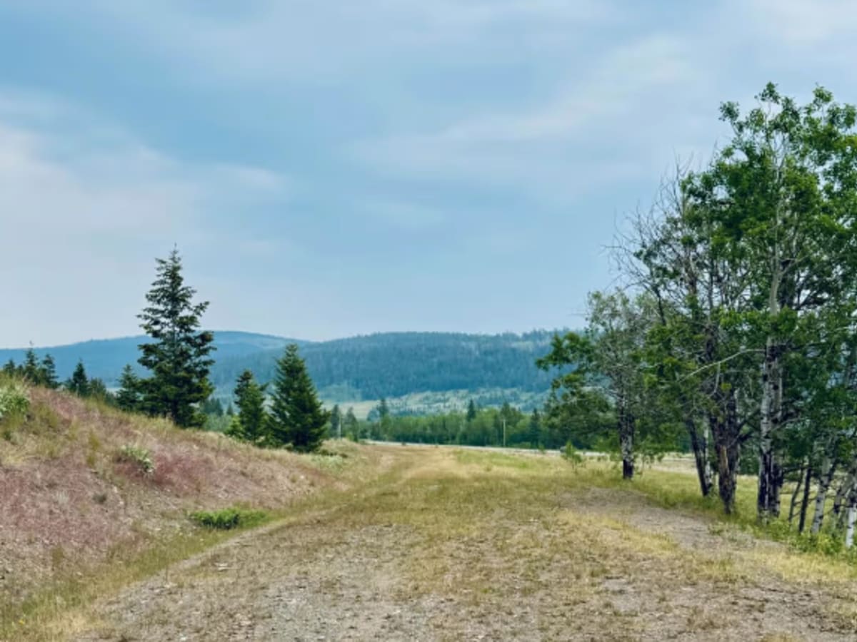 Palmer Lake FSR (Old Road) photo 5