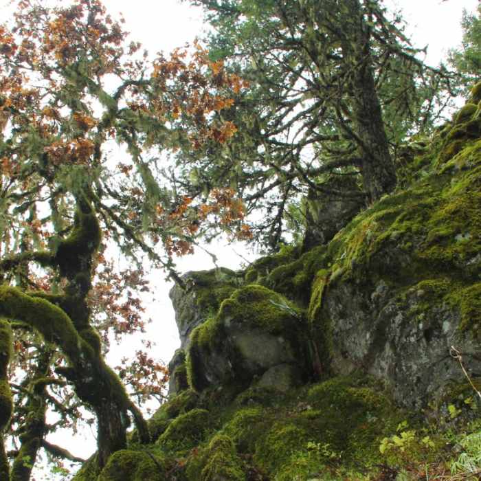 Near Ruckel Ridge Loop Hike
