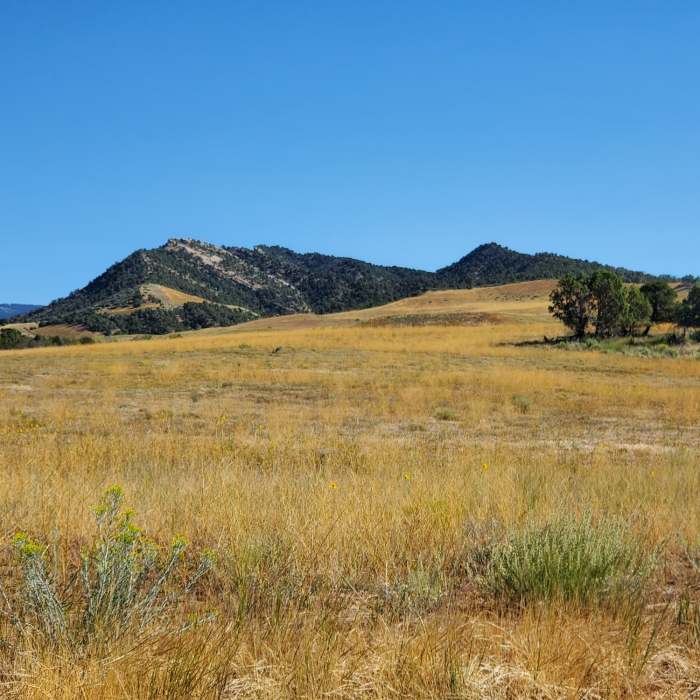 Near Carbon Junction Trail