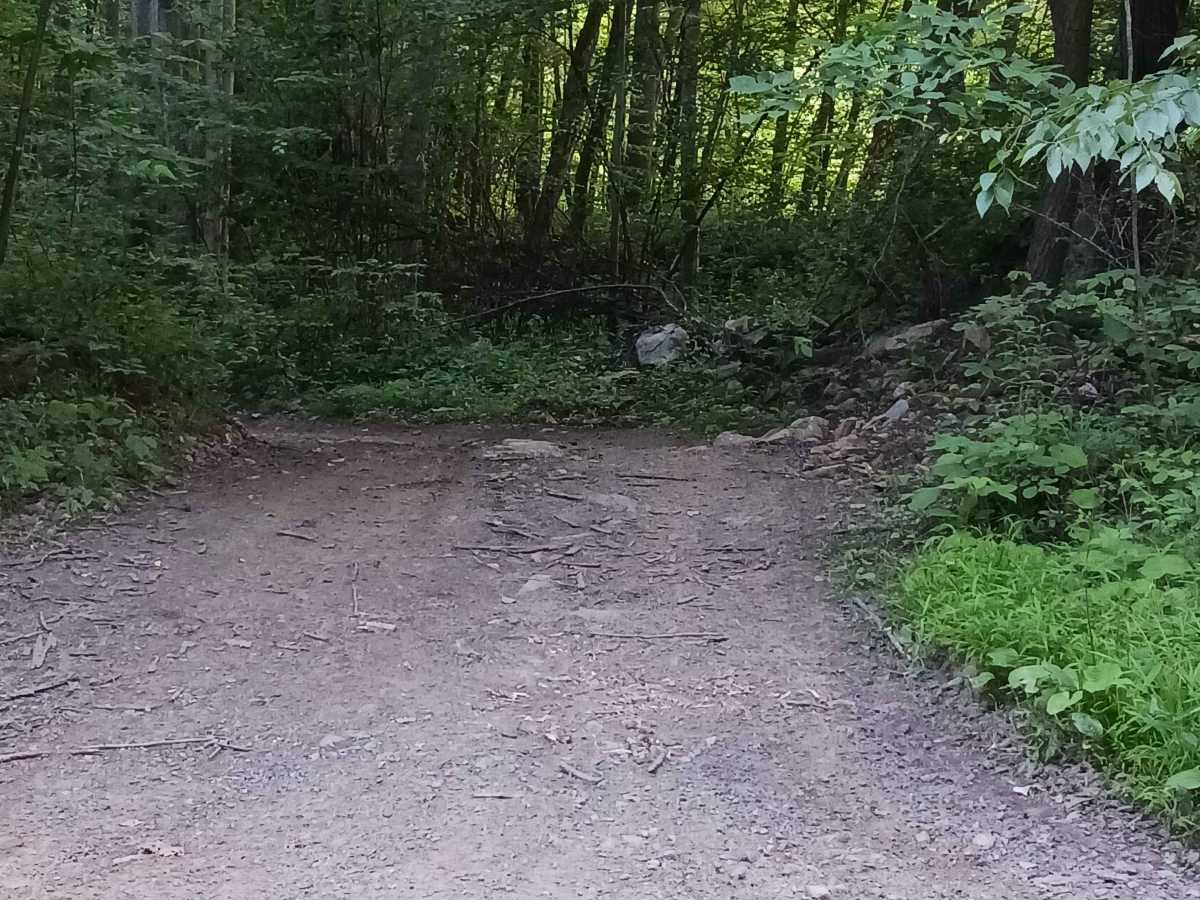 Upper Briar Path - Rock Run Recreation Area photo 3
