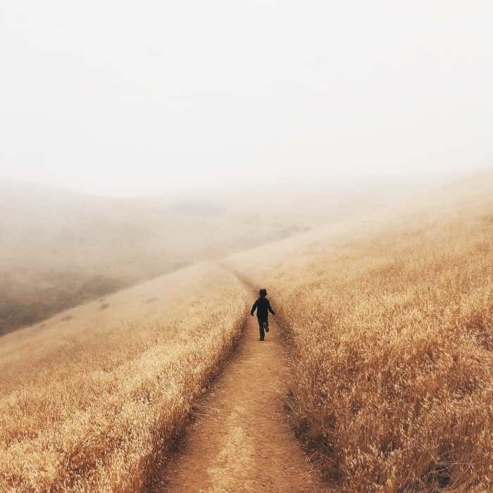 Lost in a fog. Near Bay Area Ridge Trail: Mount Tamalpais State Park and Bolinas Ridge