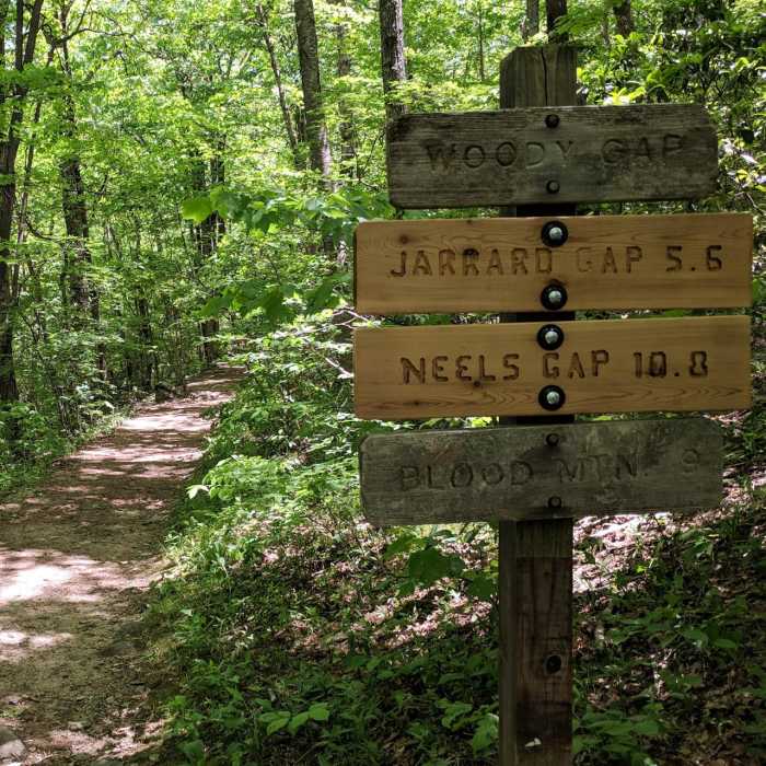 Near Blood Mountain via Woody Gap