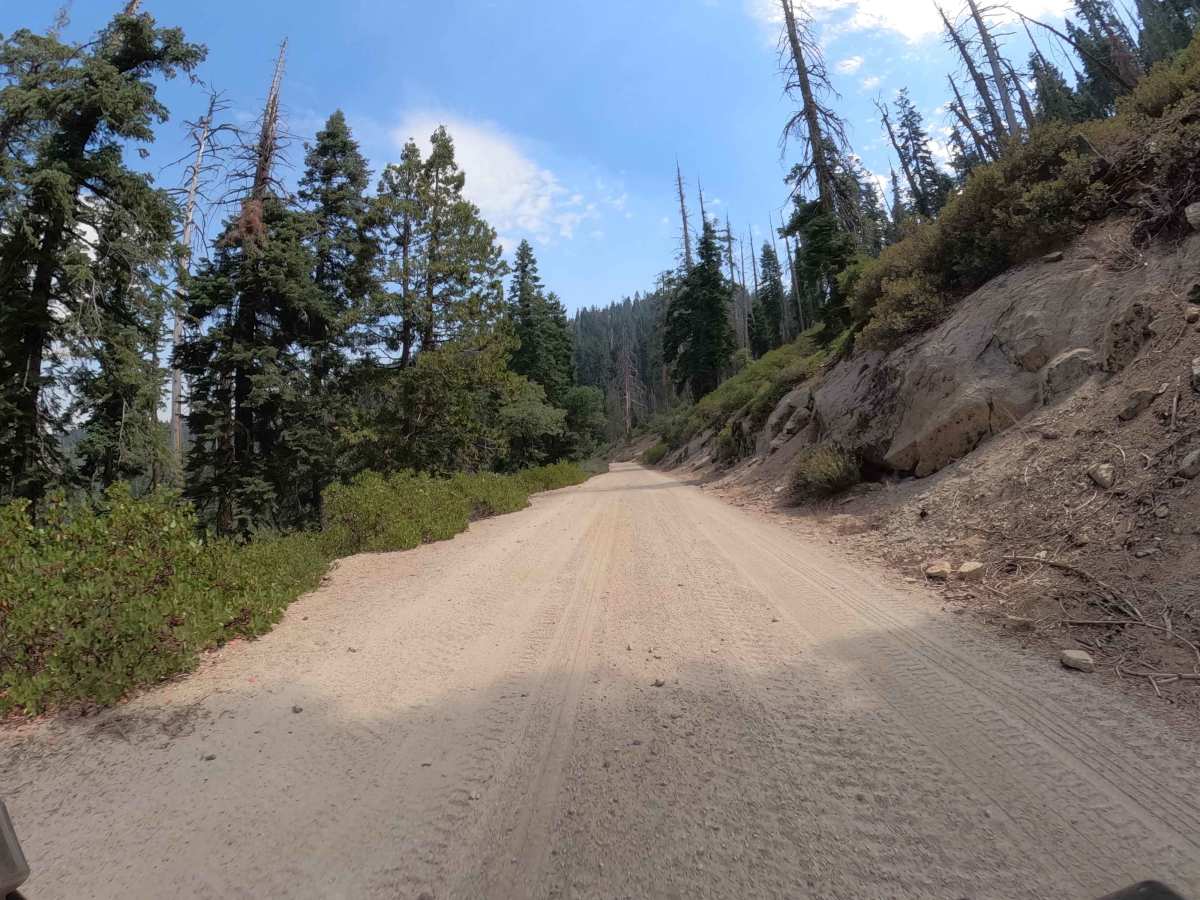 Beasore Loop - FS 6S010X trail photo