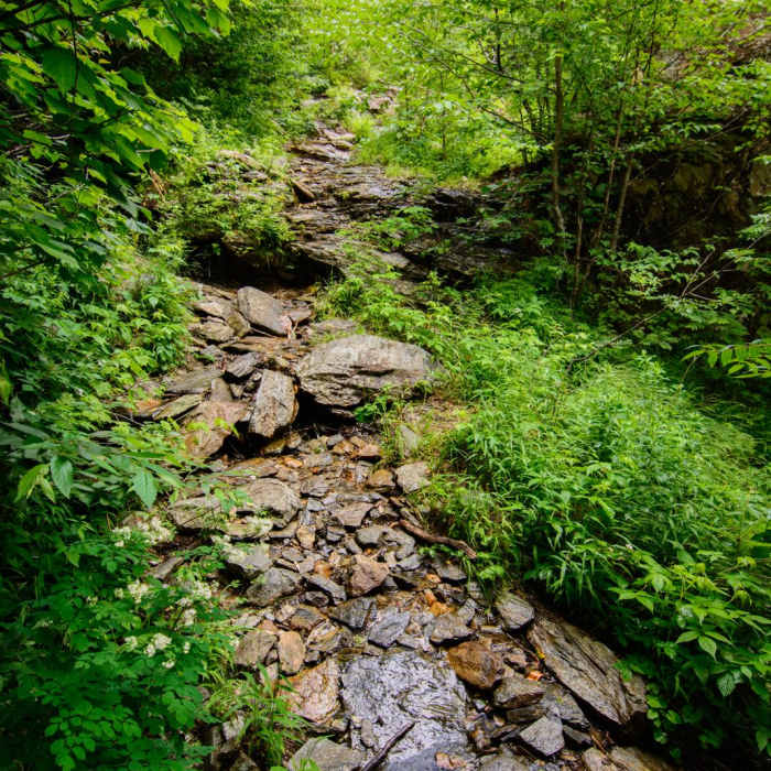 Near Elephants Head via Long Trail North Near Elephants Head via Long Trail North
