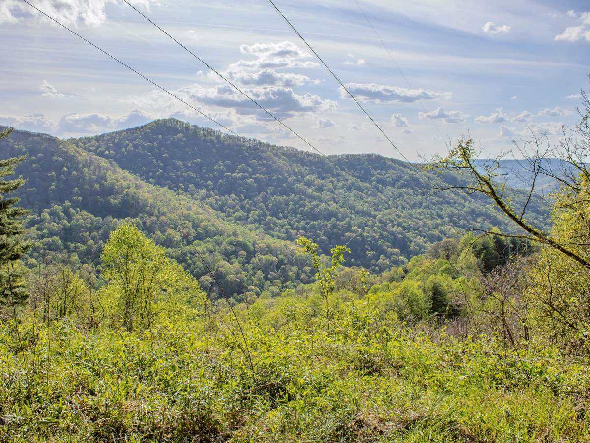 Pipeline Ridge photo 2