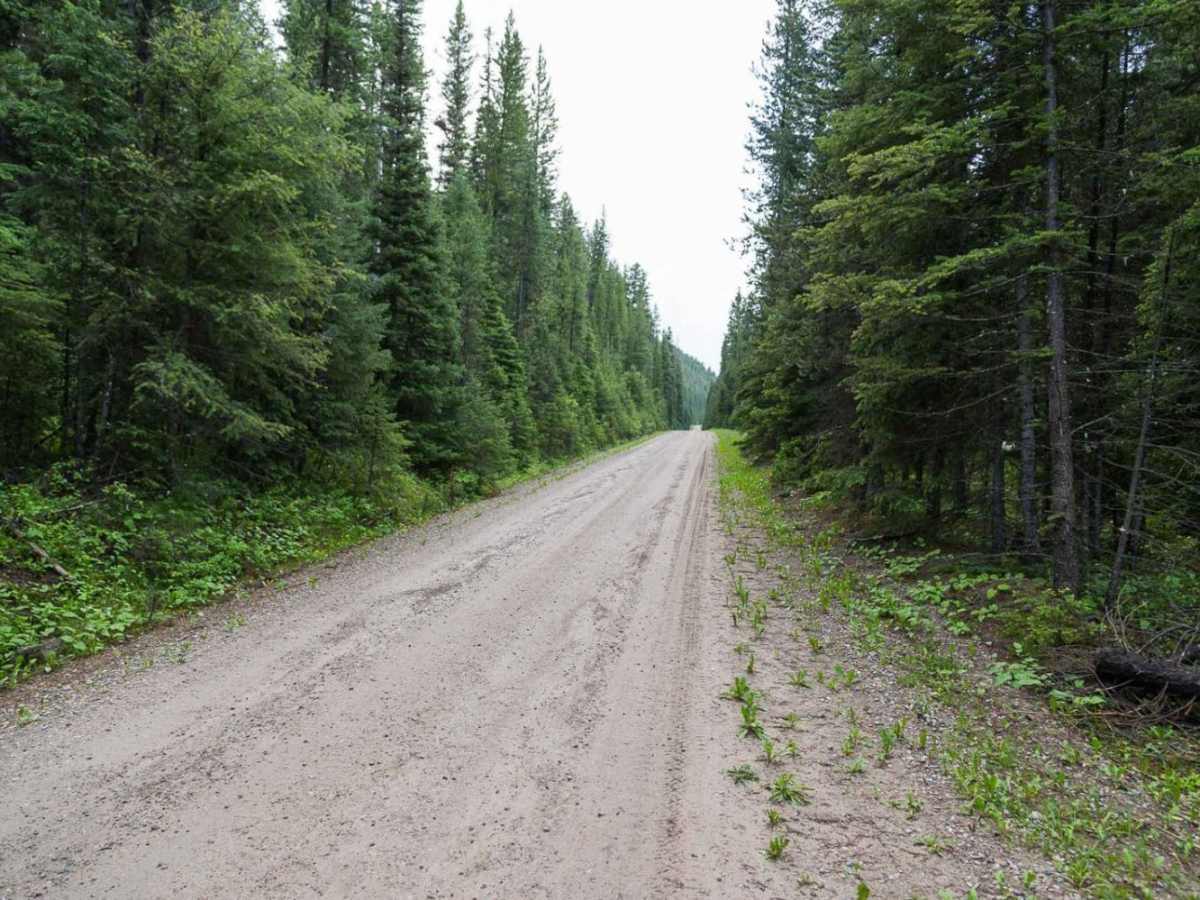 Meadow Creek trail photo