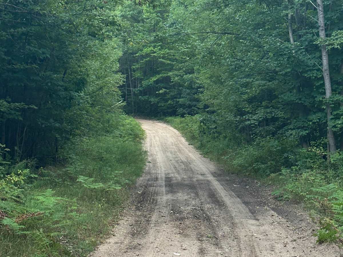 McVety Road photo 2