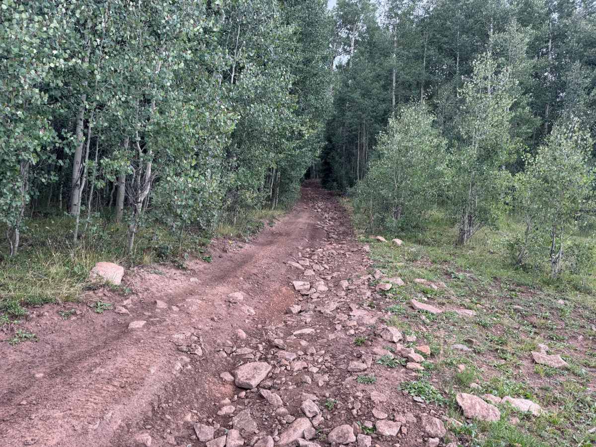 Turkey Creek Road photo 5