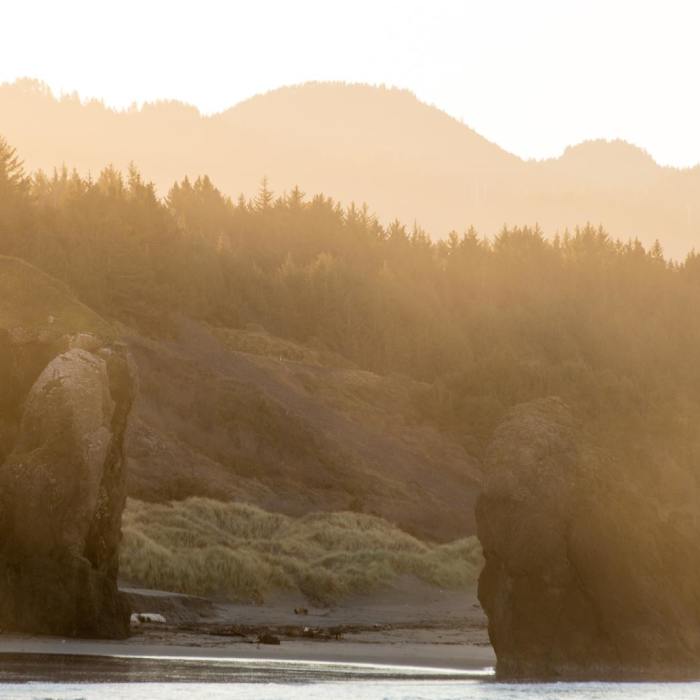 Near Oregon Coast Trail Section 9