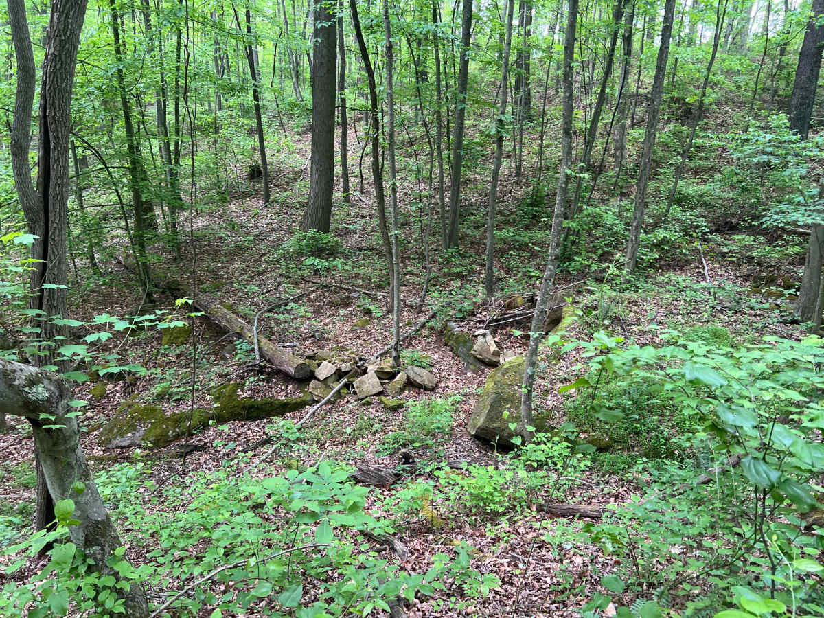 KC31 photo 5
