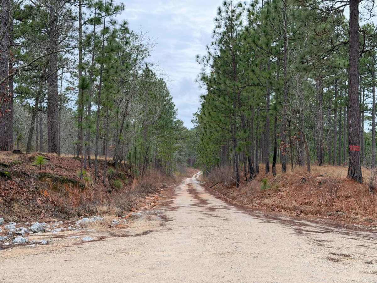 Scotland Lane trail photo