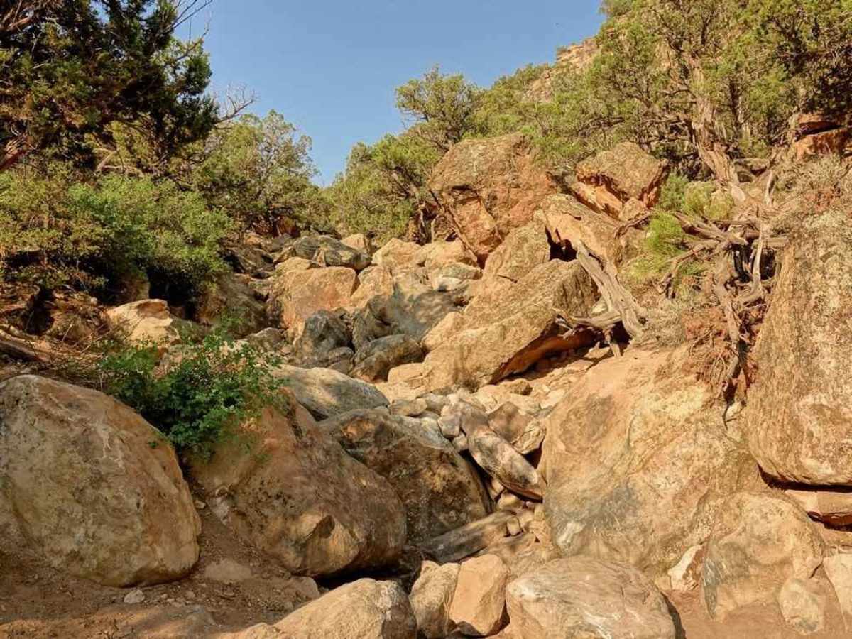 Boulder Canyon trail photo
