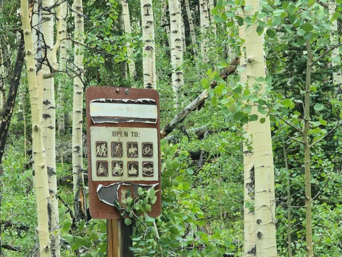 Raspberry trail photo
