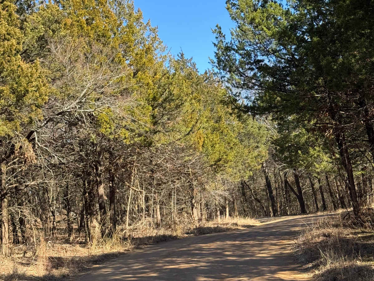 Wilderness Trail photo 2