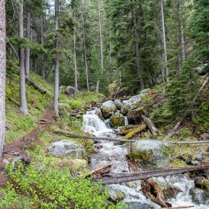 Near Lost Creek Falls