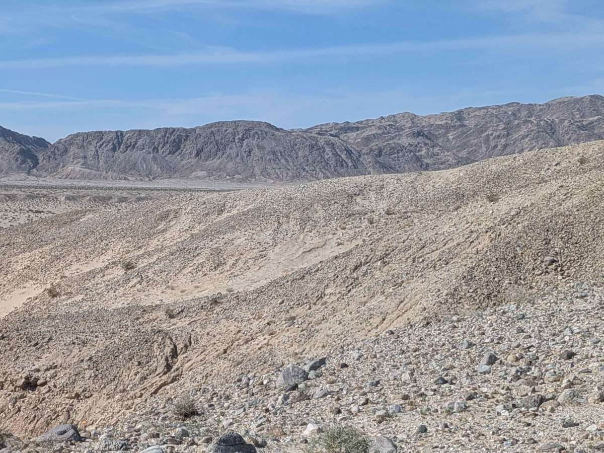 BLM 209 photo 3