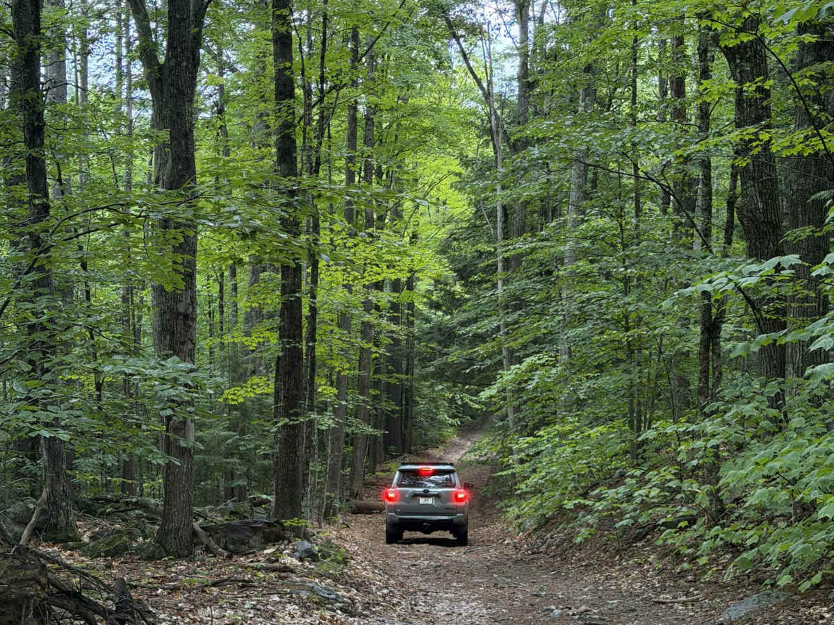 Dummer Road photo 4
