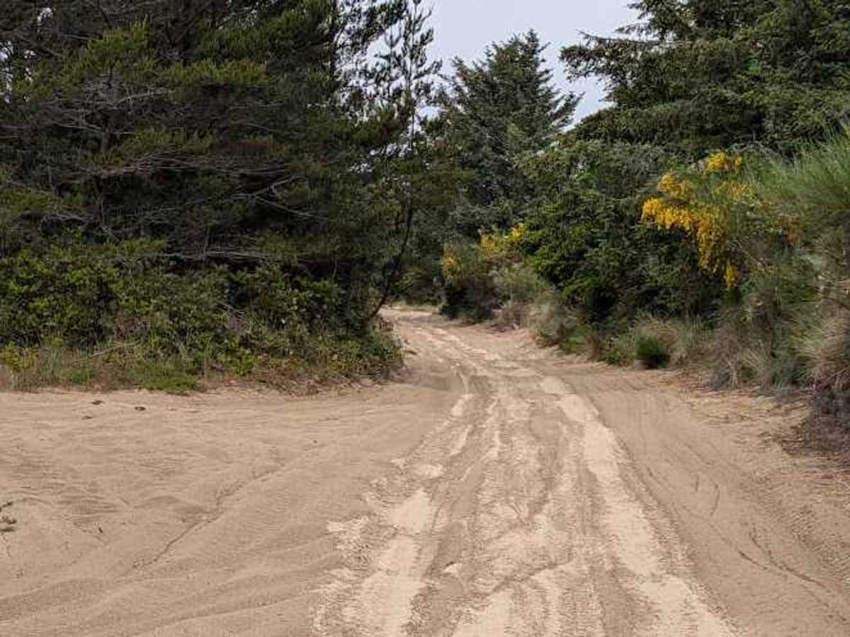 South Jetty Sand Road photo 6