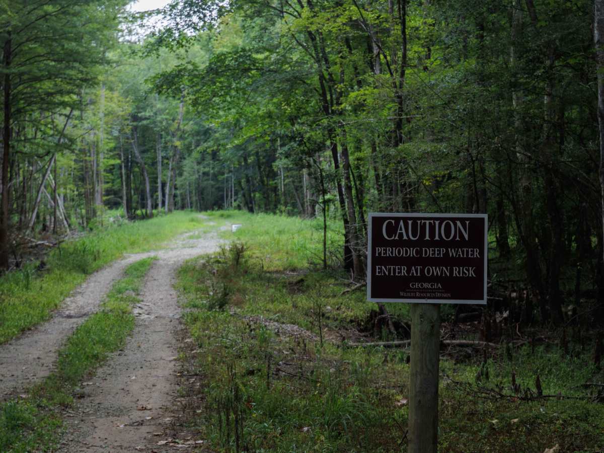 Collard Patch Lake Access photo 5