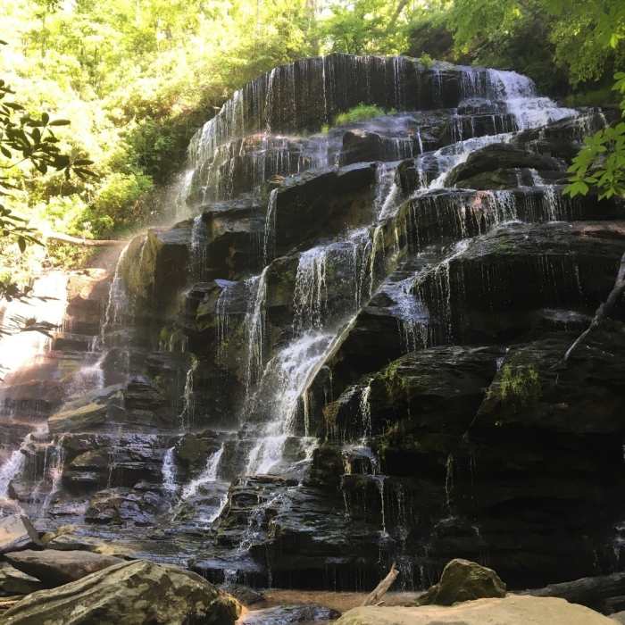 Near Yellow Branch Falls Trail