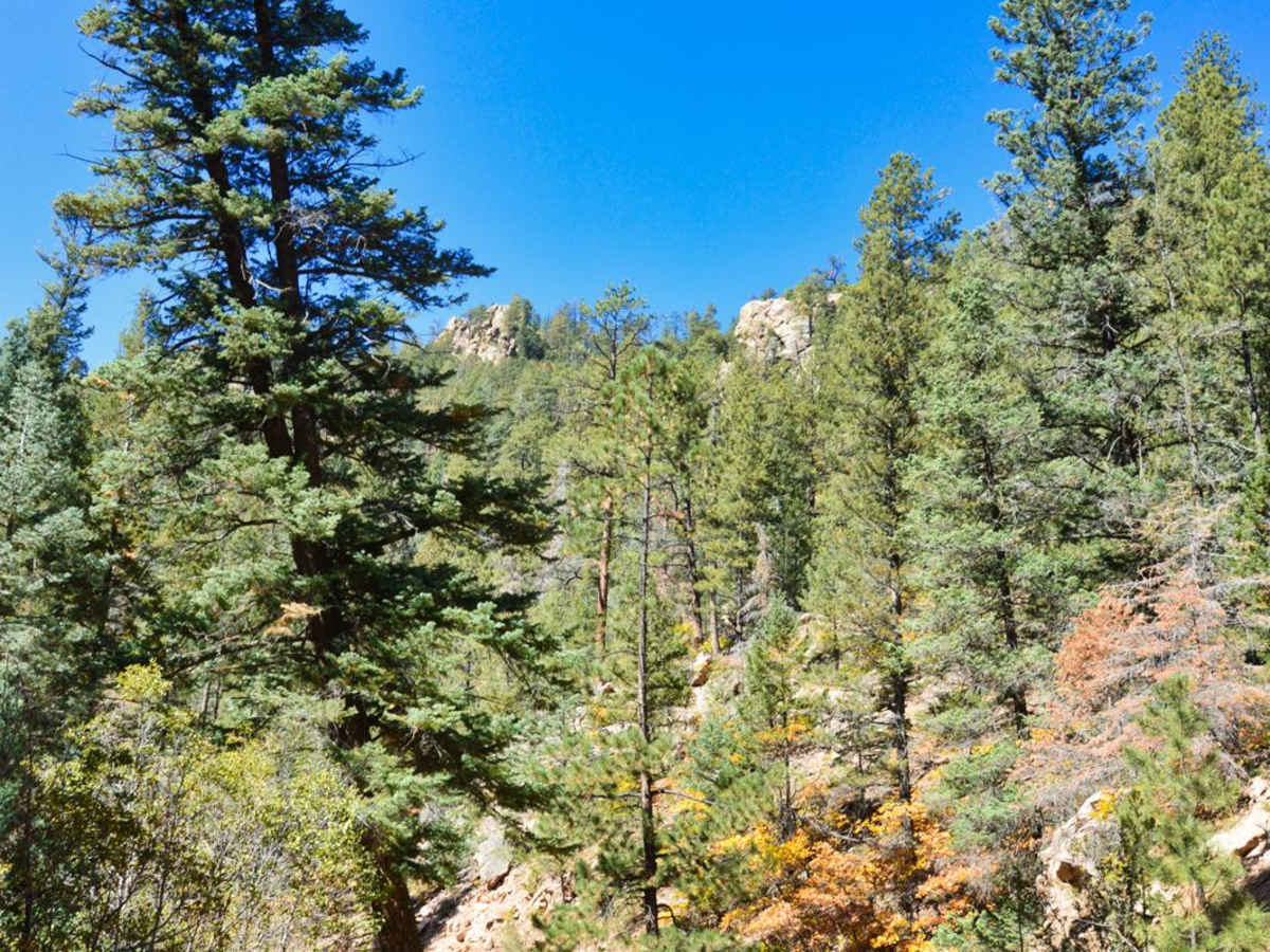Pacheco Canyon photo 4