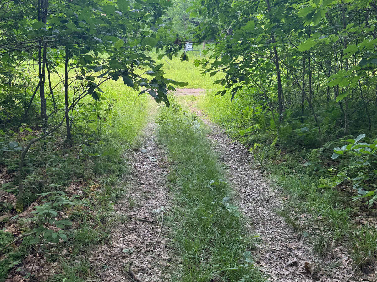 Trail 89 photo 2