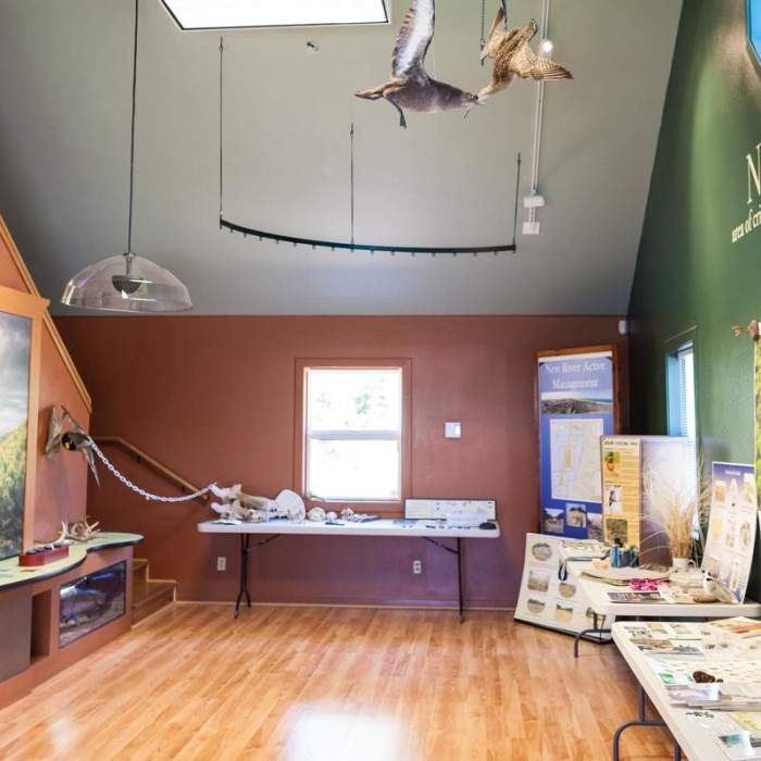 Near New River ACEC Trails Near New River ACEC Trails