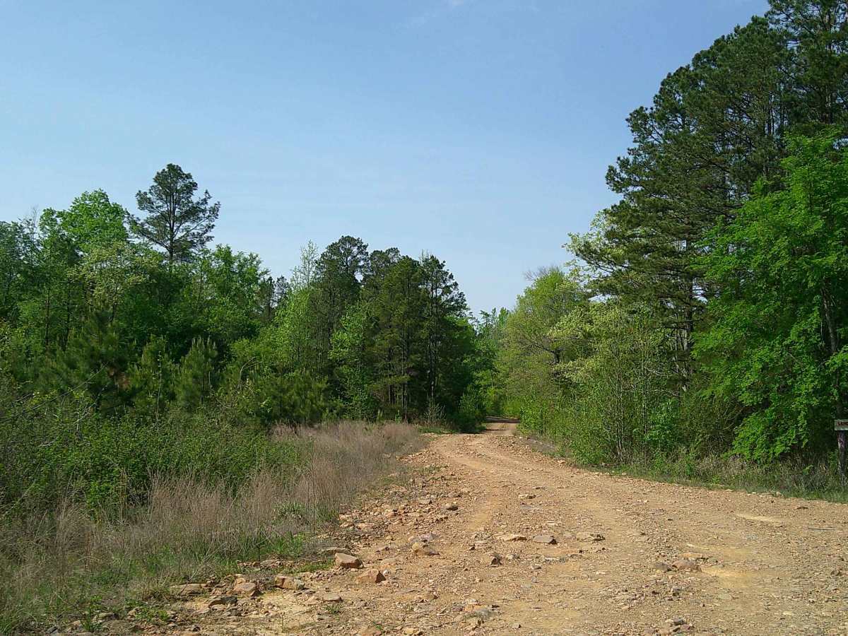 Bear Creek trail photo