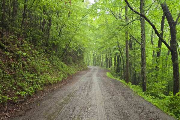Burrell Mountain (State Road 1325)