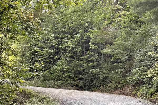 Little Bald Mountain 