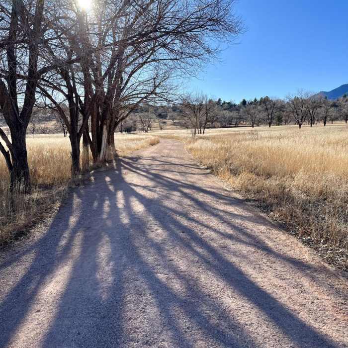 Near Lower Bear Creek Loop