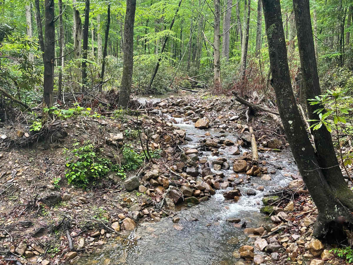 Barton Gap trail photo