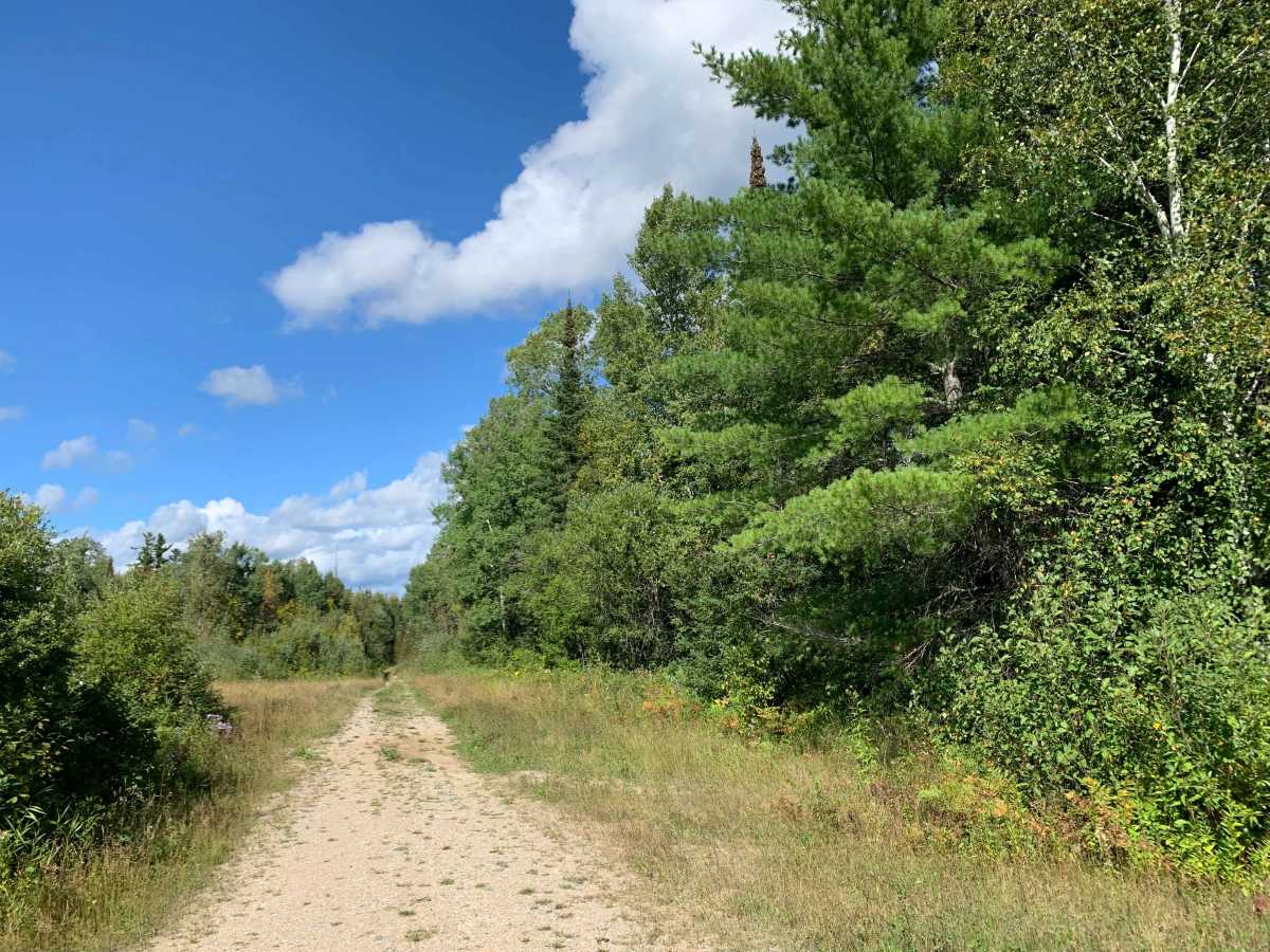 Vermigrade Spur A - FS 601A trail photo