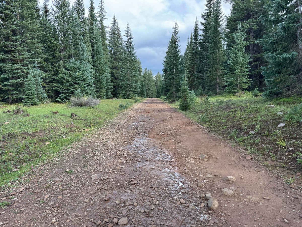 Dillons Cabin Road photo 4