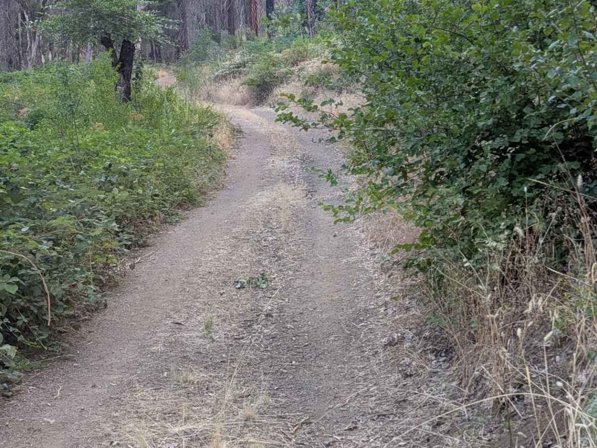 Lucky Jeep Trail - FS 31N50  photo 4